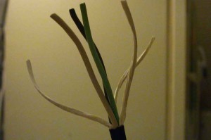 outer jacket stripped off