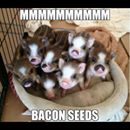 Scott Alfter published an article on WordPress.