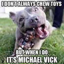 Scott Alfter shared 2 Traveling Dogs's photo.